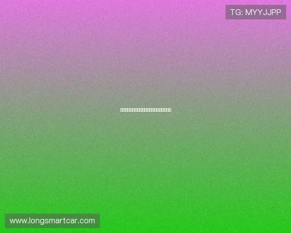 卡费尔尼科夫：网坛传奇背后的奋斗与荣耀之路